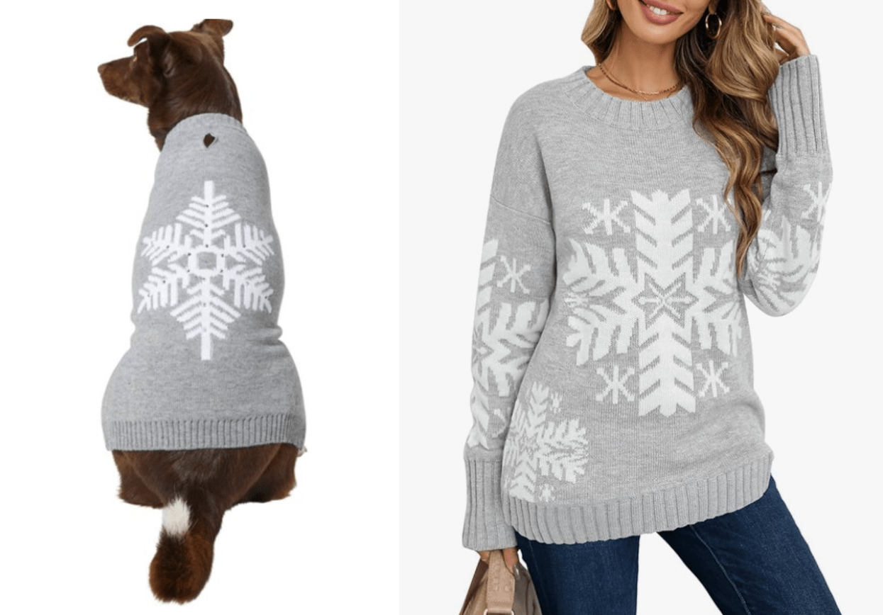 10 Best Matching Dog And Owner Christmas Sweaters
