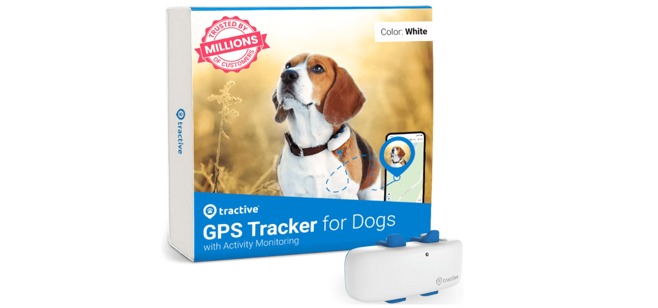 Tractive GPS Tracker & Health Monitoring for Dogs Review Your Pets