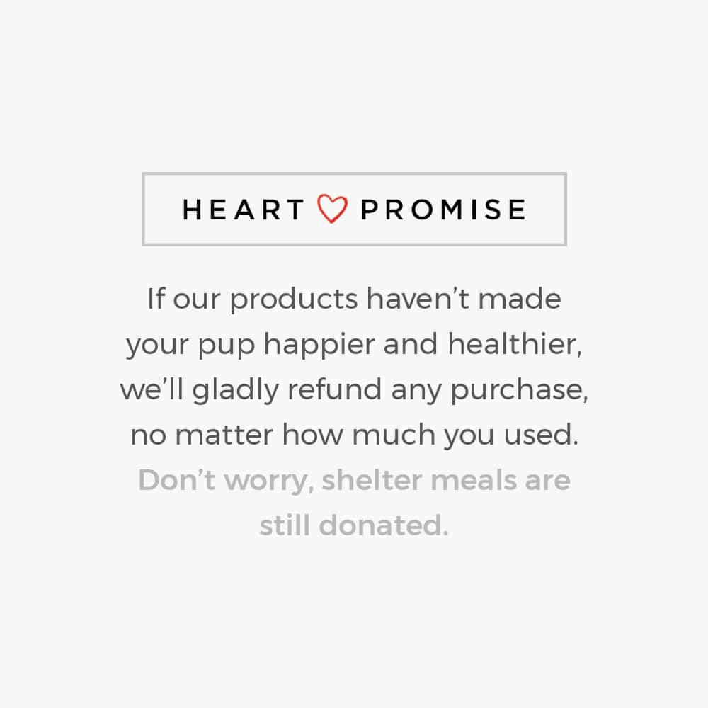 Christmas Tree Dog Standard Tee White