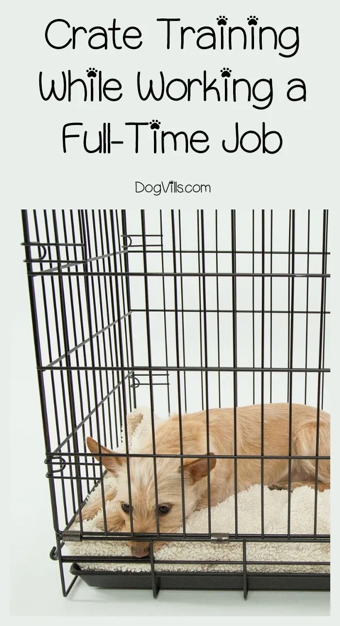 Crate Training With A Full Time Job