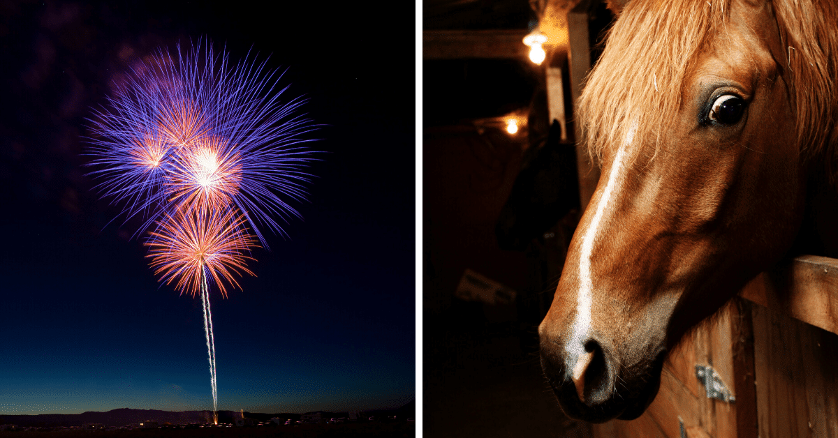 5 Ways To Help Your Horse Cope With Fireworks