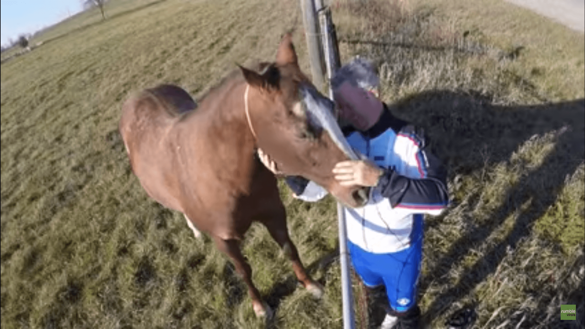 This Horse Knows Just How to Tell This Cyclist to Bring More Treats