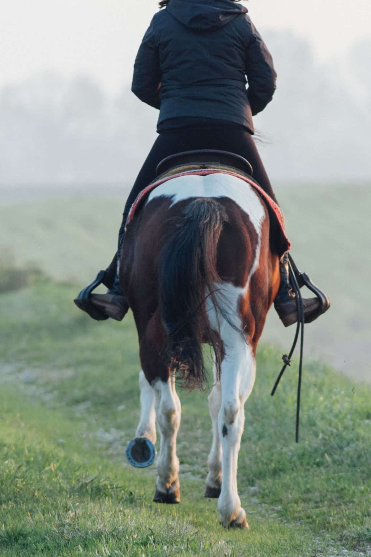 20 Expert Tips to Reduce Riding Horseback Anxiety