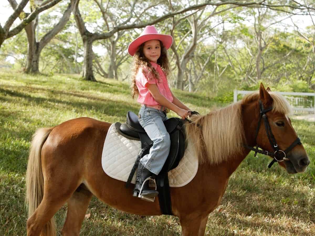 20 Expert Tips to Reduce Riding Horseback Anxiety