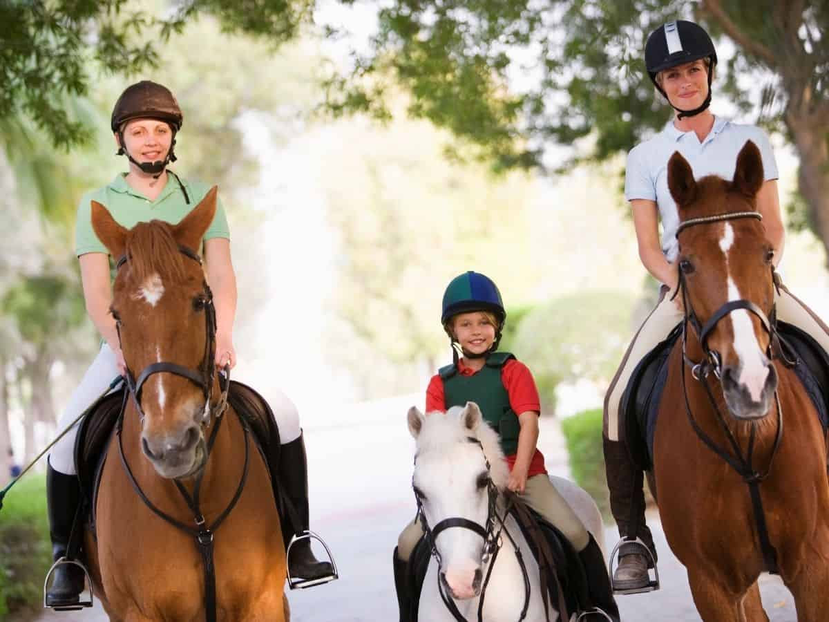 20 Expert Tips to Reduce Riding Horseback Anxiety