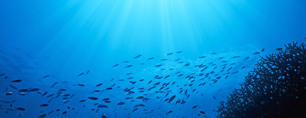 I get deep like fathoms in ocean water Hiphop Simile Database