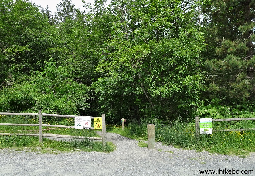 Mount Thom Lookout Loop Trail (Chilliwack BC)