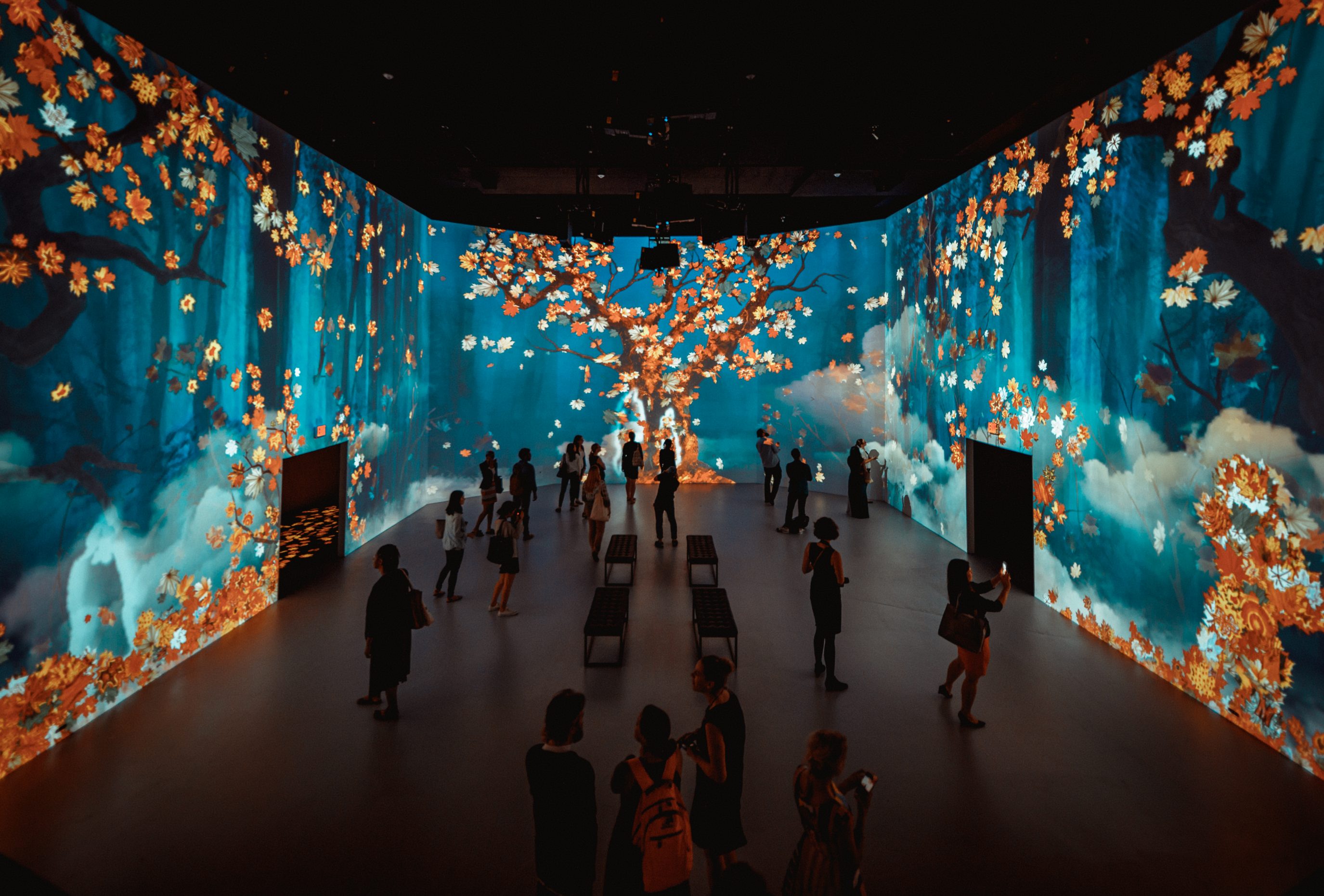 The 24 Best Places to Take Pictures in Washington DC [Photo Guide]