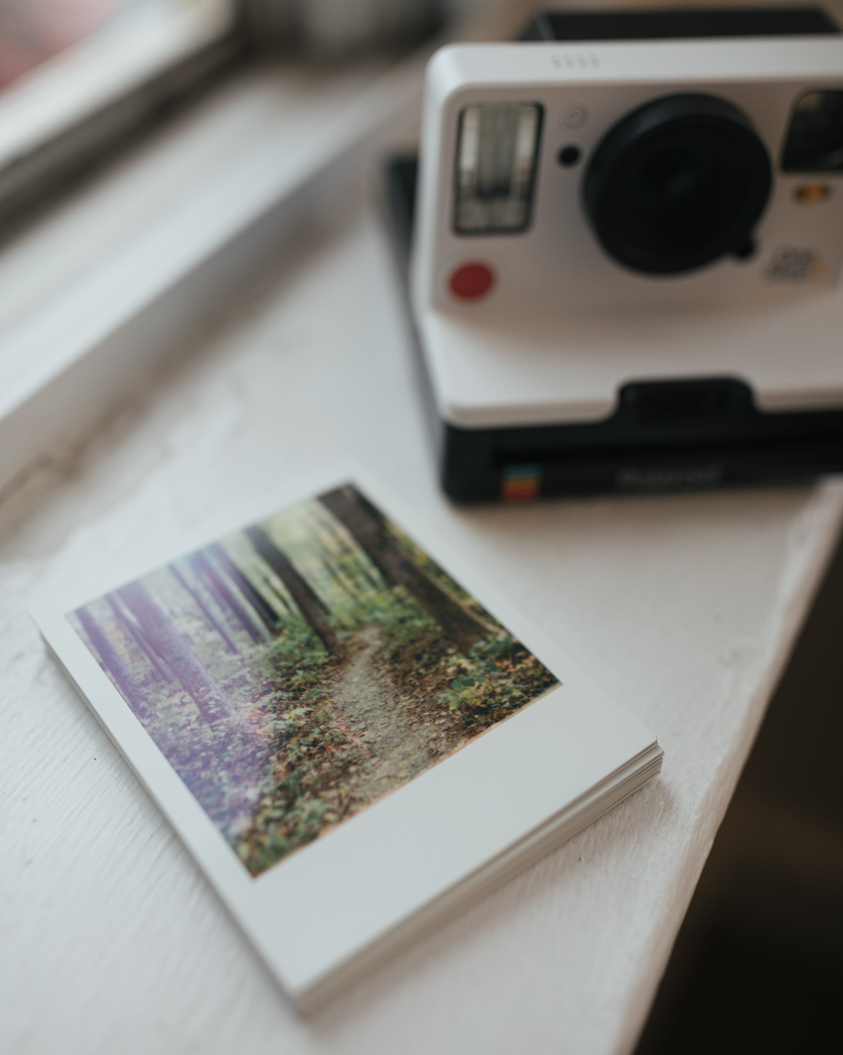 Polaroid OneStep 2 Review: Polaroid is Back for $99