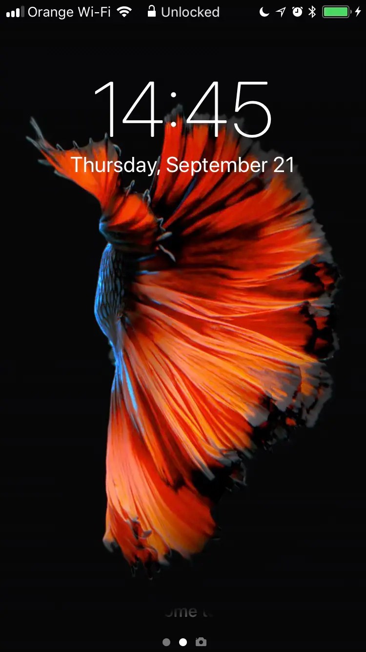 How to put original Fish Live Wallpapers on iOS 11 The only solution