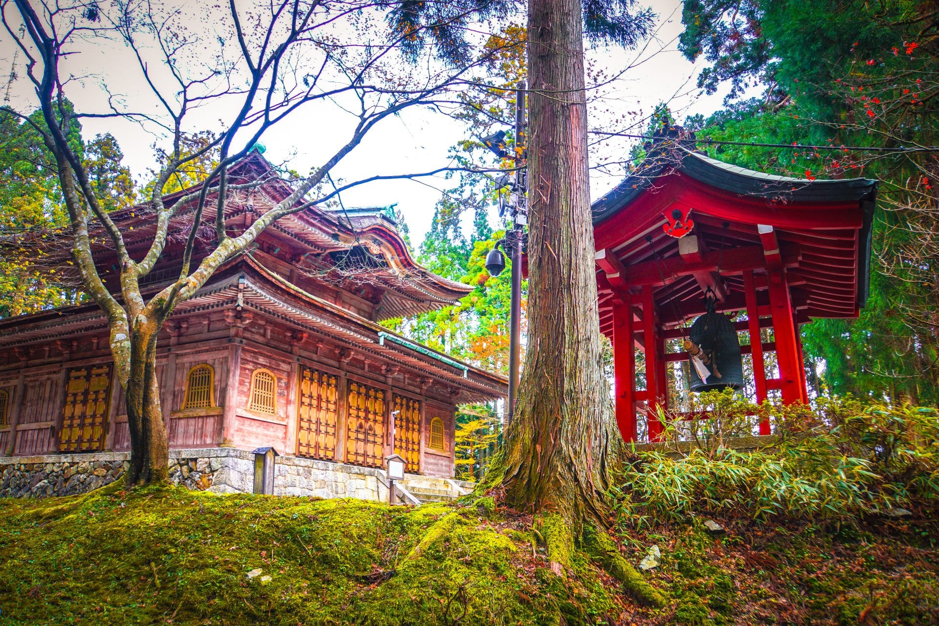 Frans Stiene chanting the Reiki Precepts International House of Reiki