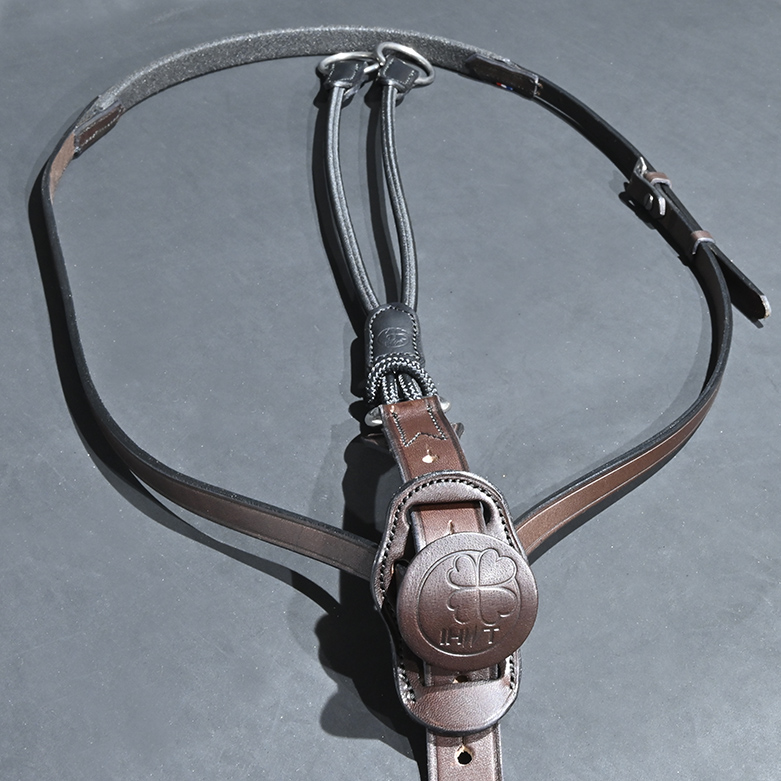 Martingale Ccure Élastique Havane In Horse We Trust