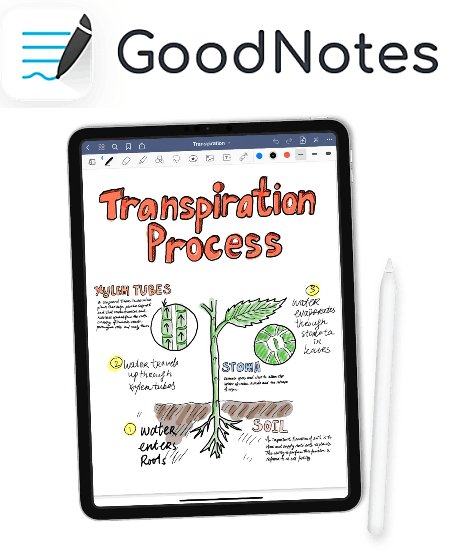 Online NoteTaking Tools Imperial International College