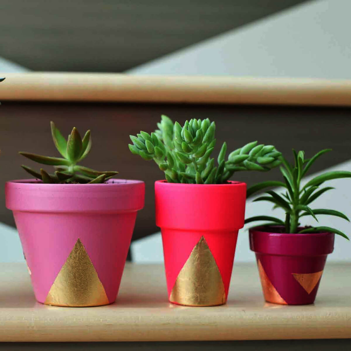 Flower Pots, Wall & Garden Planters Startup Business