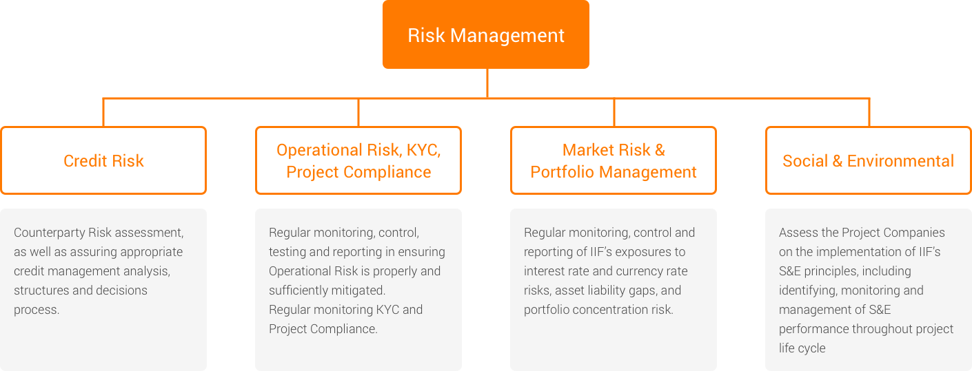 Risk Management IIF