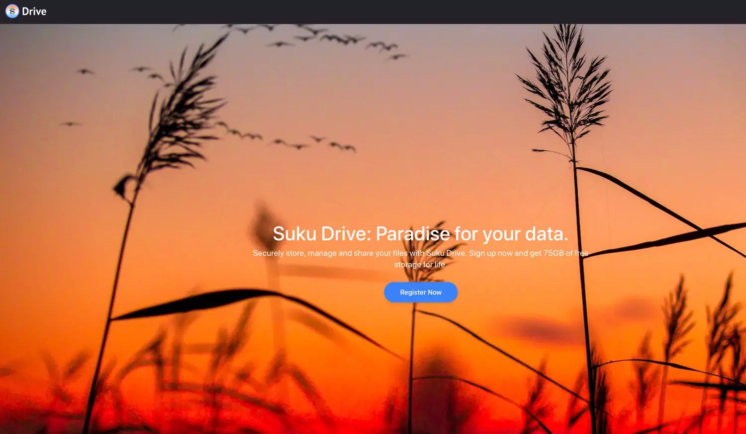 Suku Drive offers 75 GB of free cloud storage