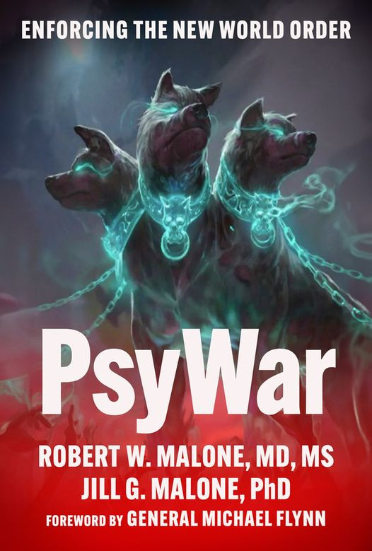 World Policy Hub Book of Psychological Warfare Enforcing the New