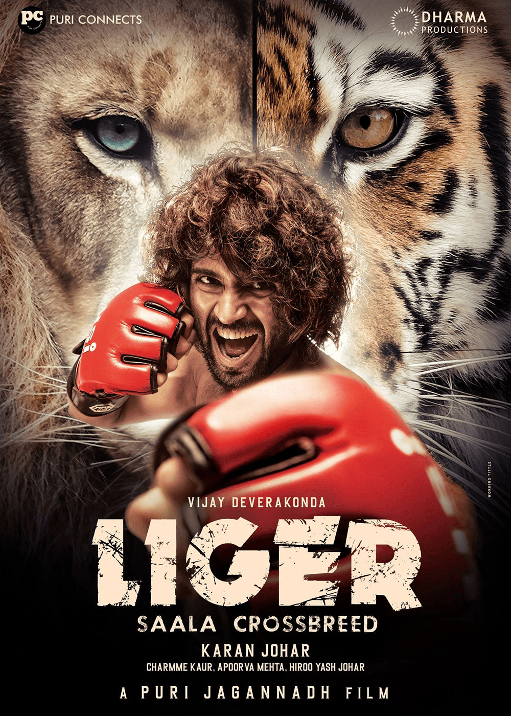 Liger (2022) Hindi Full Movie HD