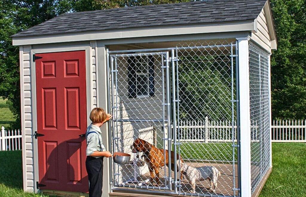 Dog Boarding Near Me 7 Safe & Best Pet Boarding Spots — Freeimage.host