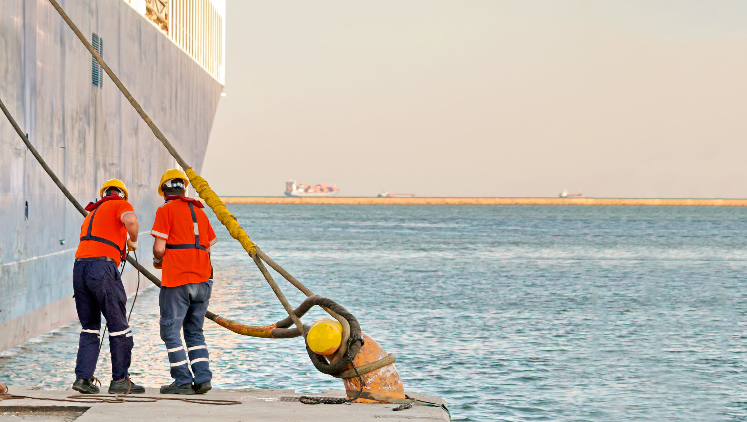 seafarer recruitment and placement service checklist Archives IILSS