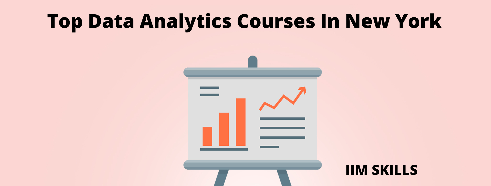 Top 6 Data Analytics Courses In New York With Live Training