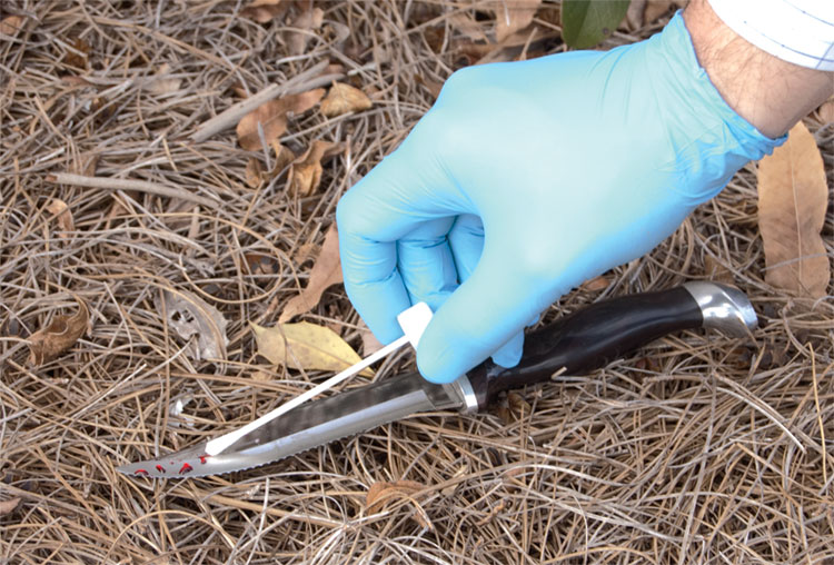 Evidence Collection, Review, Analysis InterState Investigative Services