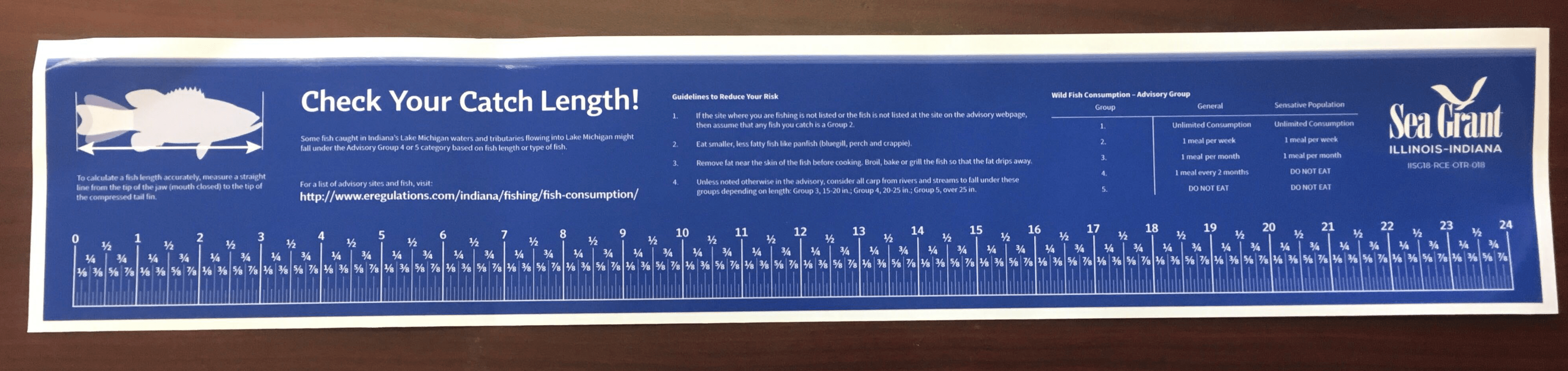 Fish Ruler Sticker Check your Catch Length! IllinoisIndiana Sea