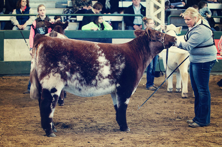 CONTACT IJBBA Iowa Junior Beef Breeds Association
