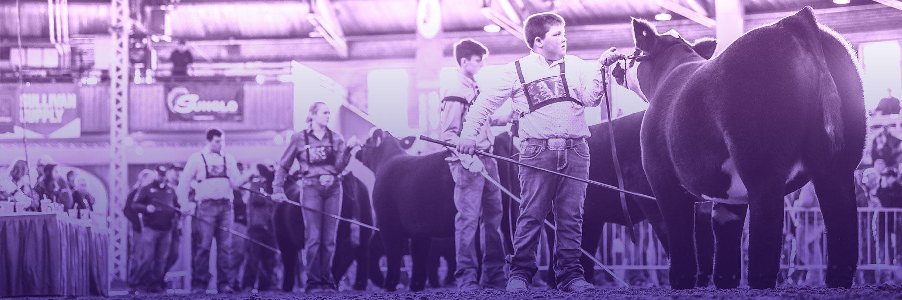 IJBBA Iowa Junior Beef Breeds Association