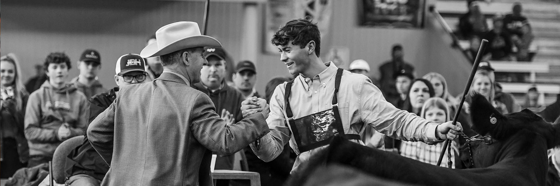 IJBBA Iowa Junior Beef Breeds Association