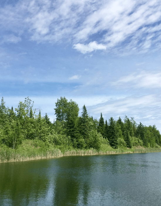 International RainyLake of the Woods Watershed Board Hosting an In