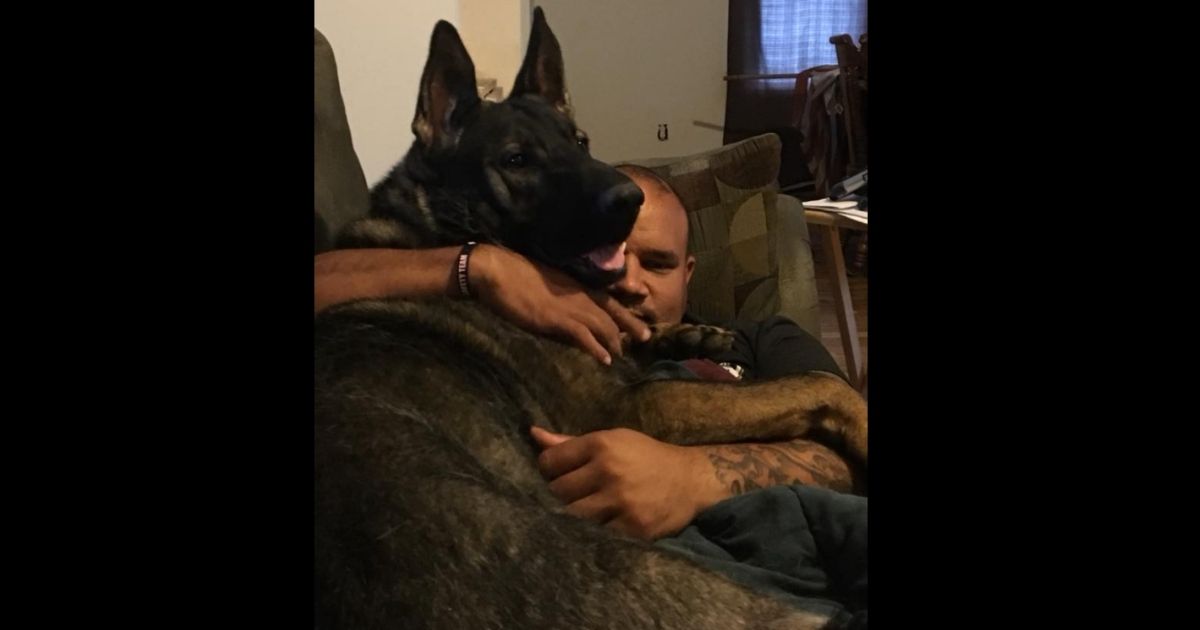 Guardian Angel? Police K9 Saves Neighbor from Vicious Dog Attack IJR