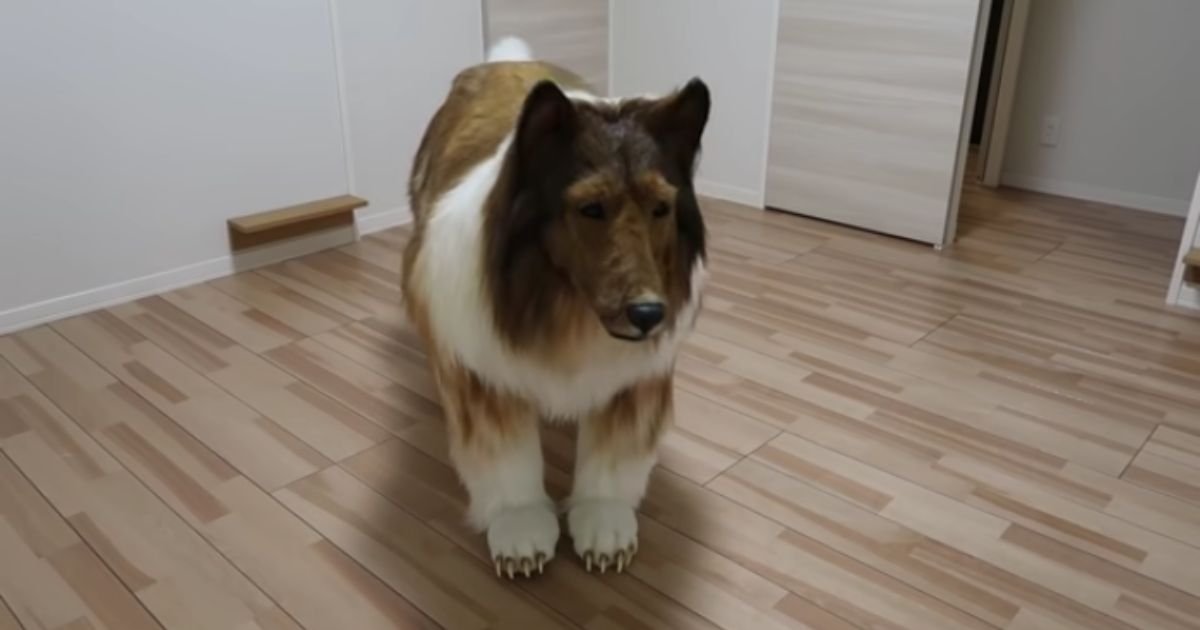 Man Who Spent Thousands of Dollars to Turn Himself Into ‘Giant Dog’ Has