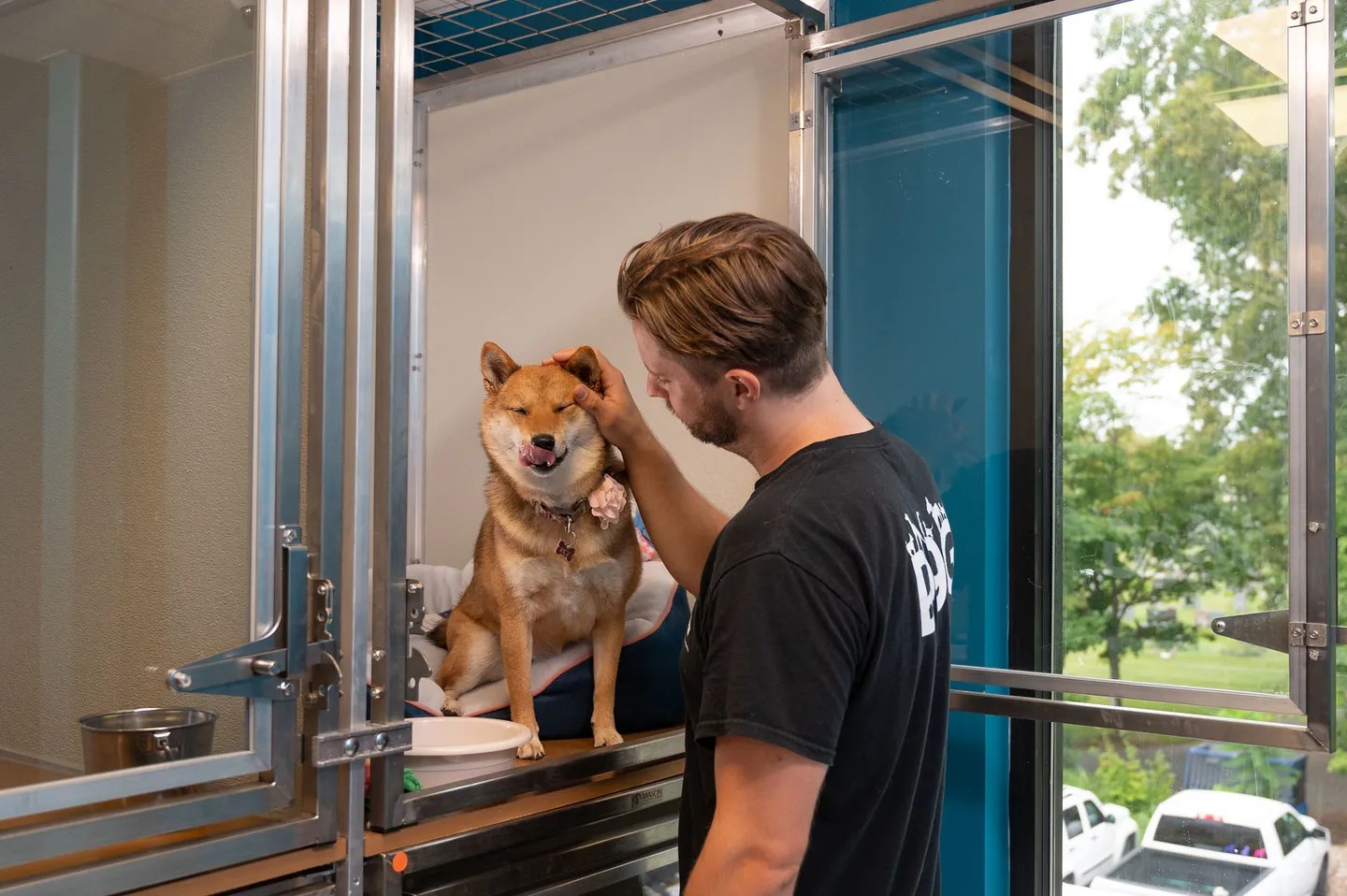 Why Do Dogs Need Rest Time At Doggie Daycare? Brockton, Massachusetts