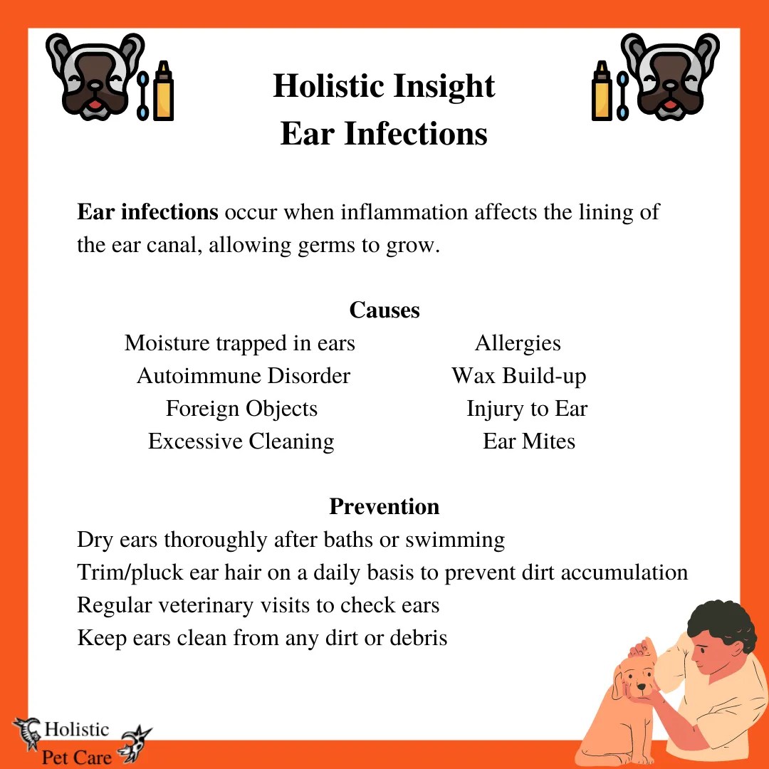 Holistic Insight Ear Infections Whippany, New Jersey