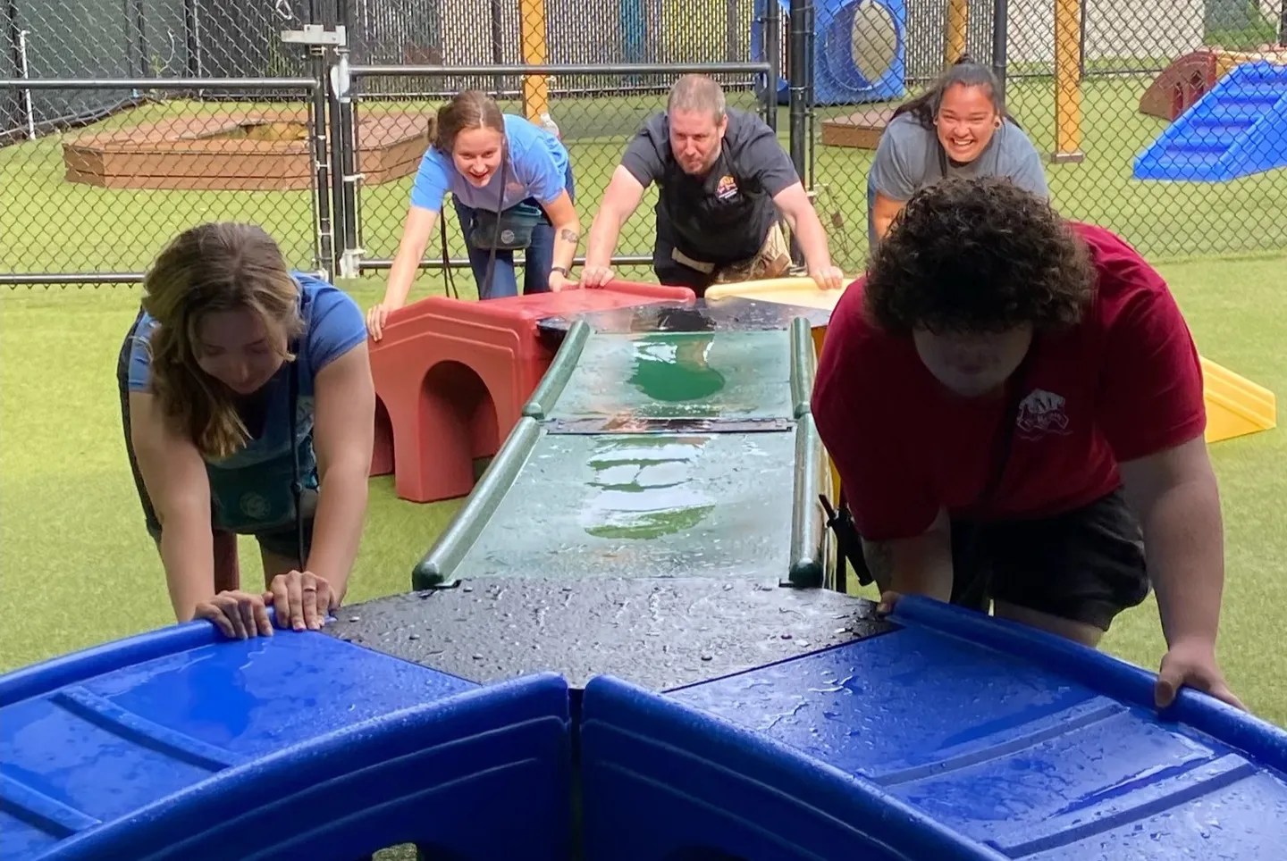 What Is Day Of PAWS At JM Pet Resort? Brockton, Massachusetts