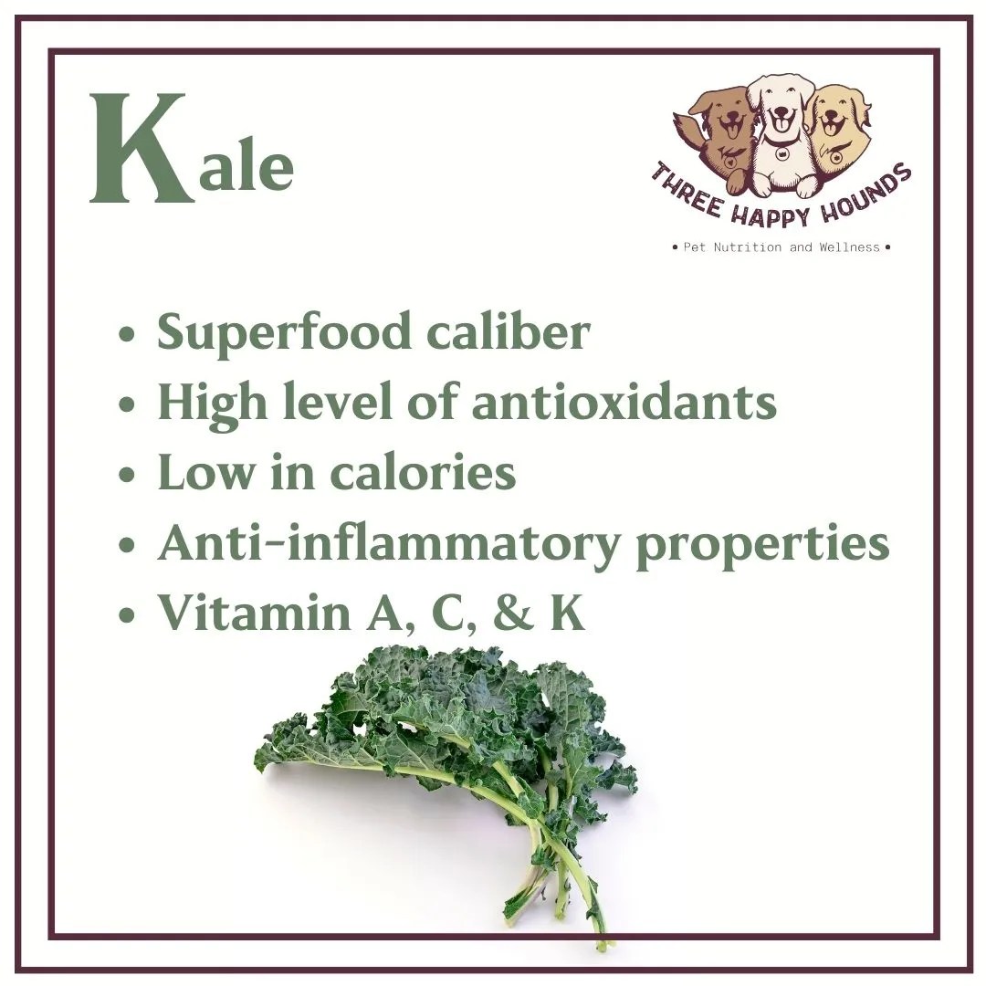Kale A NutrientPacked Superfood For Your Pets Fernley, Nevada