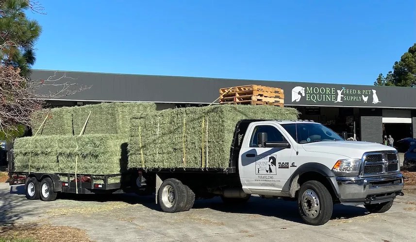 Pet & Dog Food Delivery Service To Your Home Near Southern Pines