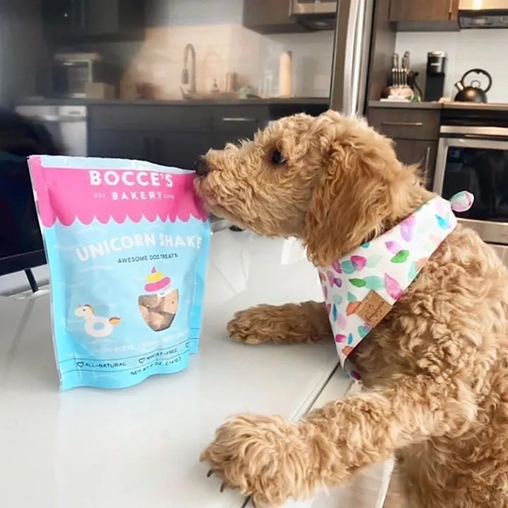 Dog Bakery For Pets Dog Cakes & Treats In Fort Lauderdale At Woof