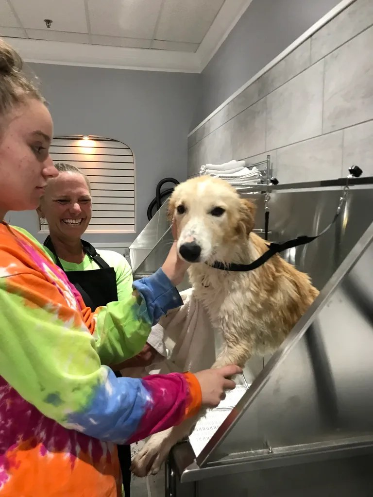 Self Serve, Self Washing Dog Wash Station In Jacksonville At Scratch