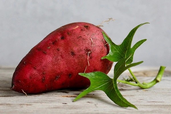 5 Resep Dessert Ubi Enak dan Sehat