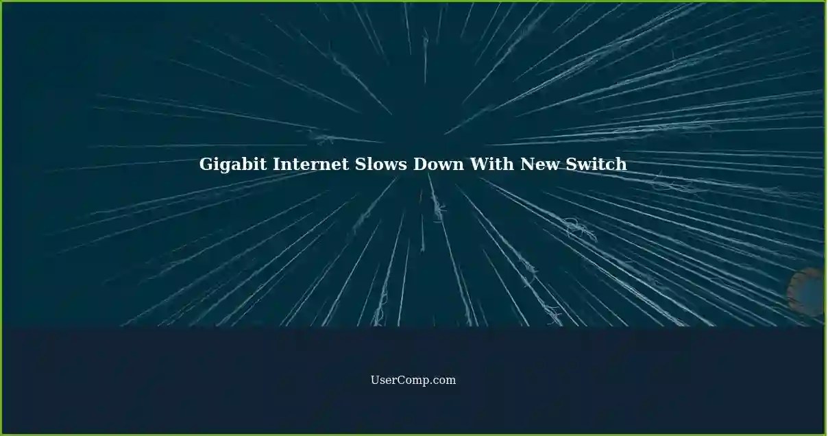 Gigabit Connection Slows Down After Introducing 4Port Gigabit