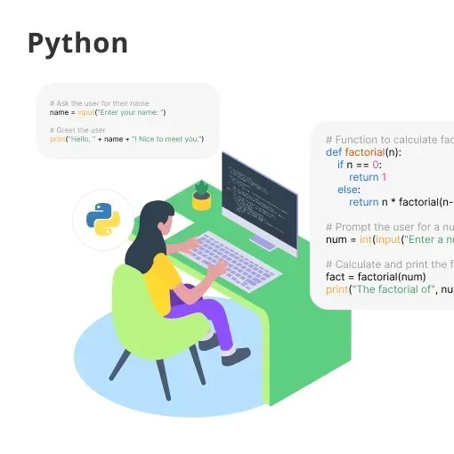 Python Libraries and Frameworks BotPenguin