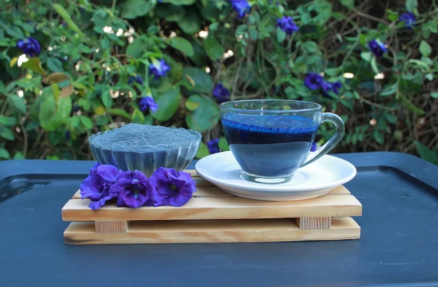 butterfly pea flower powder apedeproducts.lk