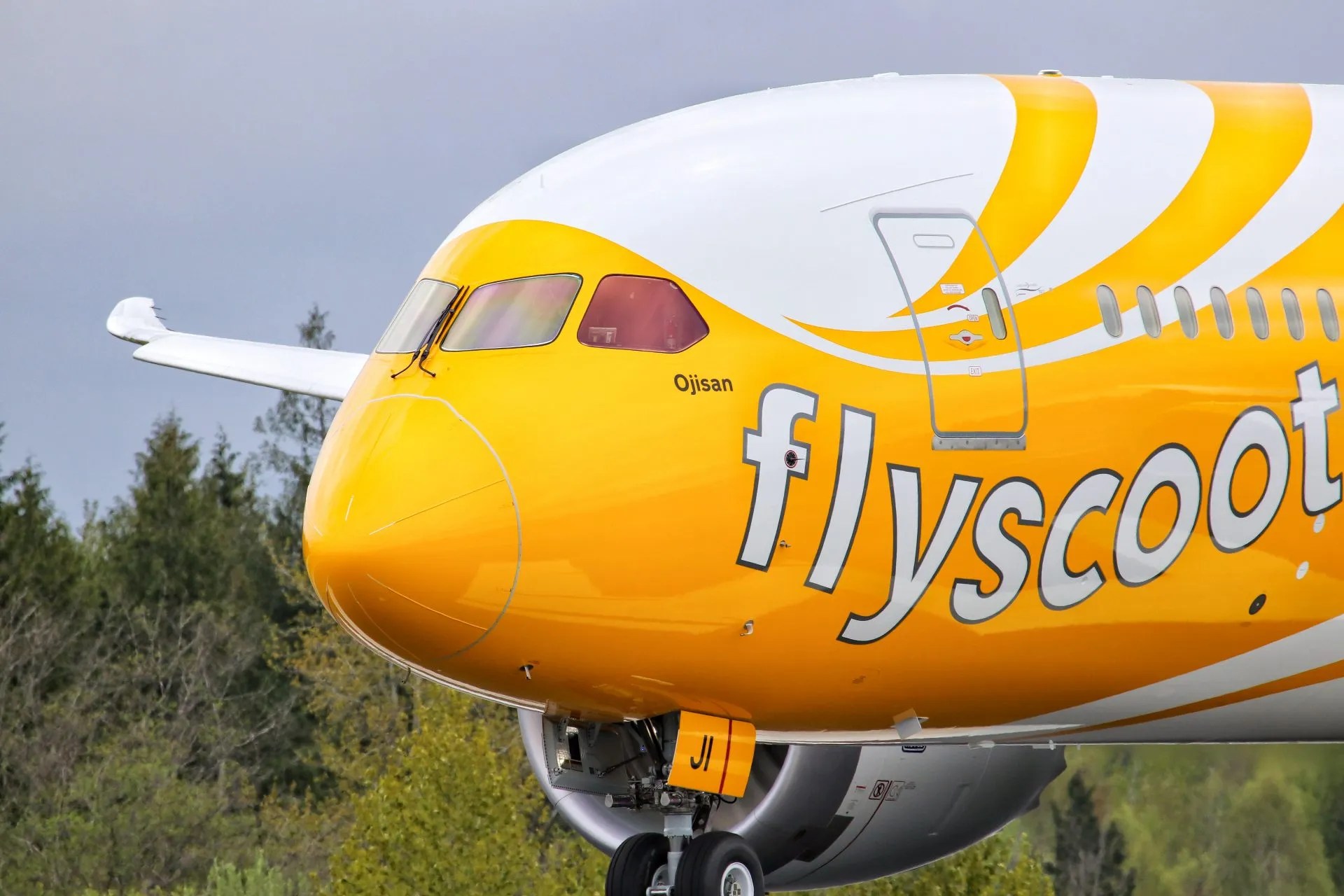 Flight Review Scoot from Sydney to Singapore CFA Blog