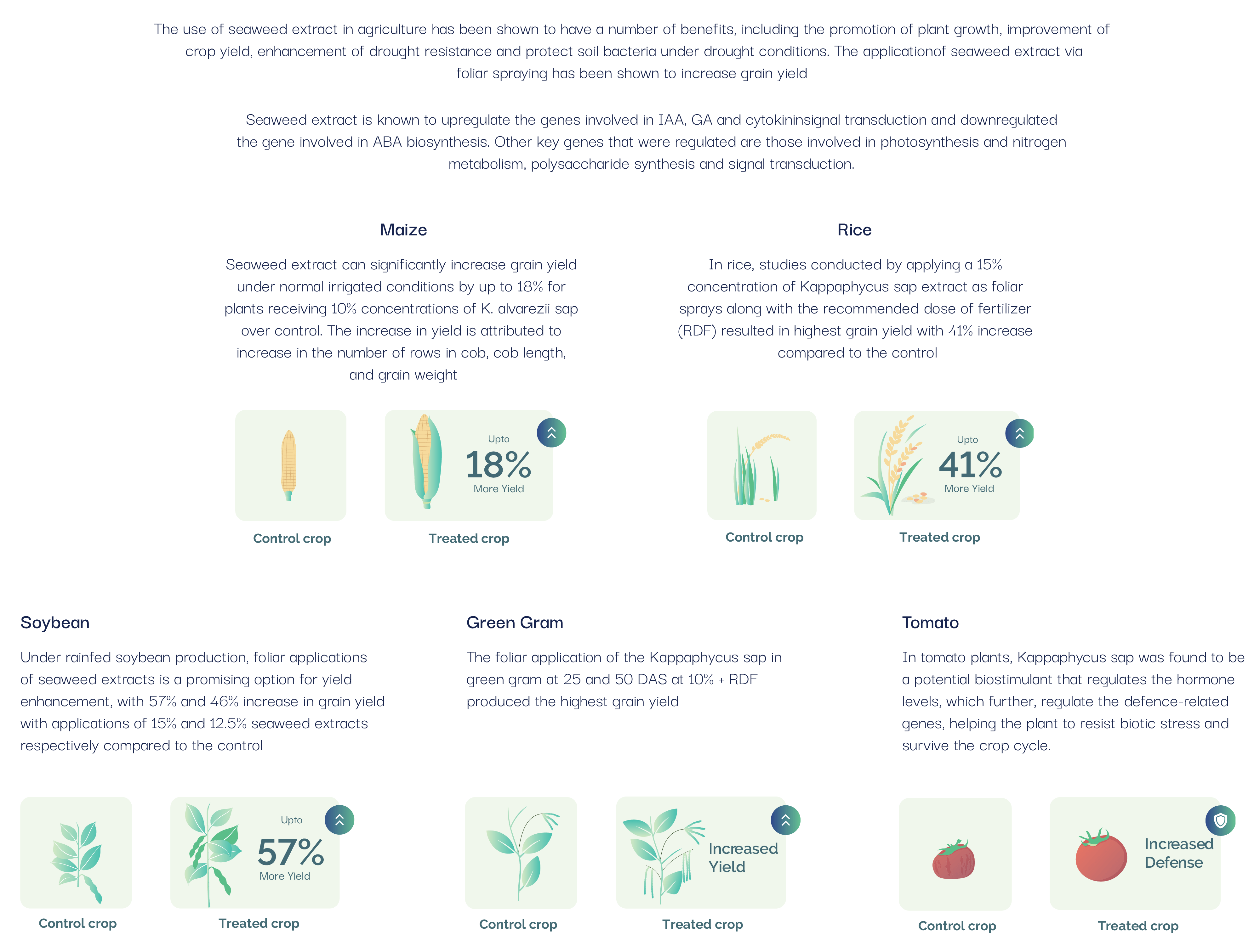 Improve Crop Yield Trishul Biotech