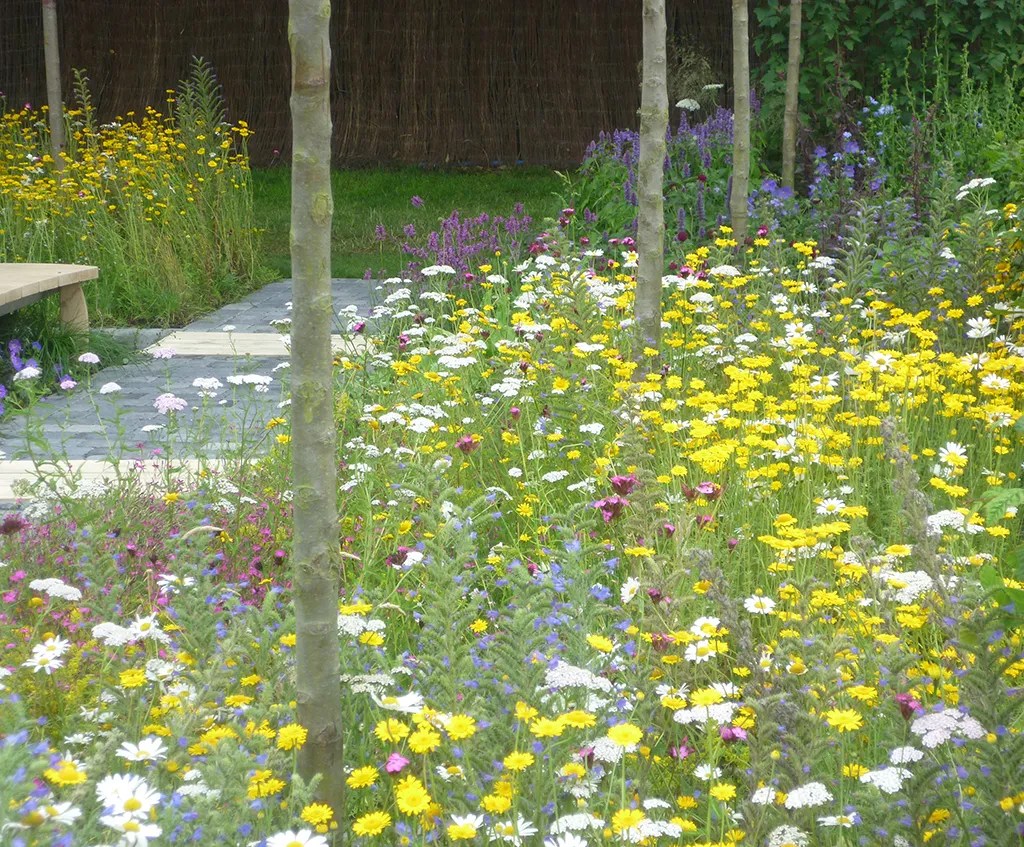 A seasonal guide to laying wildflower turf Lindum Turf