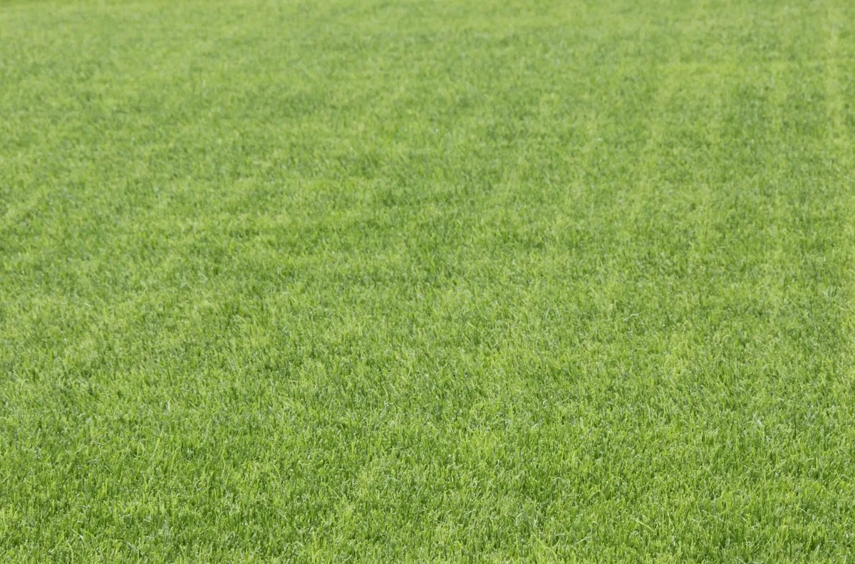 Winter sports pitch maintenance Germinal Amenity