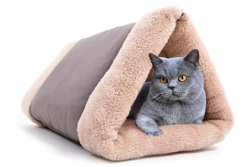 Tips 10 Best Cat Tunnel Ideas, Perfect Gifts for Cat Lovers (7 of 10