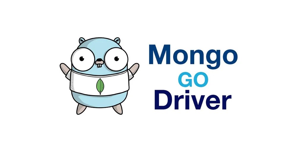 How to use Go with MongoDB